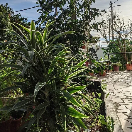 Casa e piscina Alojamento da Avó Rosa-3